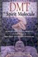 DMT: The Spirit Molecule: A Doctor's Revolutionary Research into the Biology of Near-Death and Mystical Experiences (Paperback)
