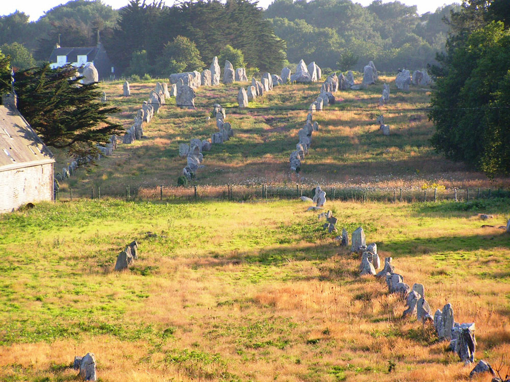 Fig. 8. Some of the 10,000 standing stones of Carnac, Britanny, France.
