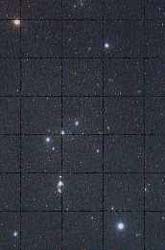 The Constellation Orion