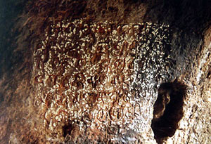Dhauli Cave; Rock Inscription
