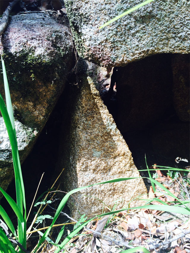 The Ancient Stone Shrine and the Forgotten Pyramid