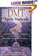 DMT: The Spirit Molecule: A Doctor's Revolutionary Research into the Biology of Near-Death and Mystical Experiences (Paperback)