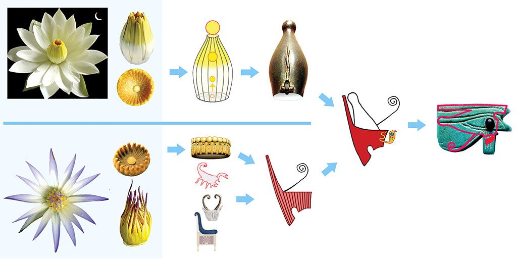 16: Ancient Egyptian symbols seem to fit seamlessly together: the Blue Waterlily inspired the Red Crown (in part), and the White Waterlily inspired the White Crown. Combined they form the Double Crown and bring together two Waterlily parts, the Blue Waterlily’s center and the White’s stamen cluster. The Red Crown had multiple influences on its design (scorpion, Waterlily, throne, bovine horn, and the Sethian color red). 