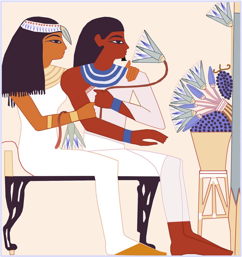 1: This copy of a painting from an ancient Egyptian tomb is filled with Sacred Blue Waterlily symbolism: her headband, the bud over her forehead, the flower over her arm, the bloom he is contemplating, and the bouquet of Waterlilies in front of them. Sacred Blue Waterlilies are ubiquitous in ancient Egyptian tomb paintings. What is their significance? 