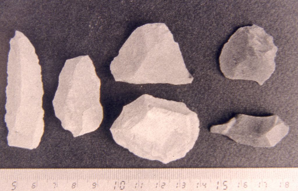 A few of the microlith tools discovered in Ghar Dalam; this type of stone tool was characteristic of pre-Neolithic period.